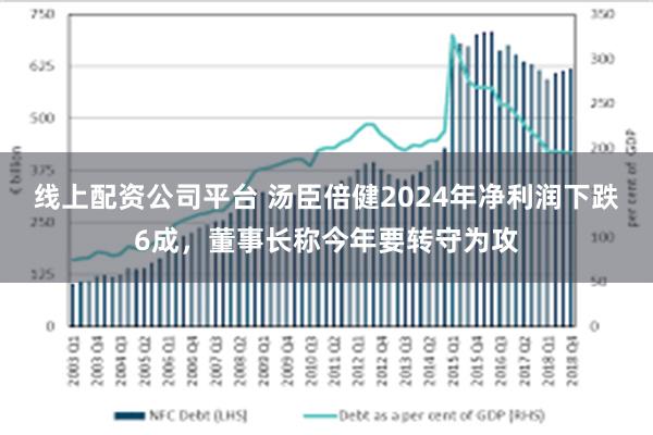 线上配资公司平台 汤臣倍健2024年净利润下跌6成，董事长称今年要转守为攻