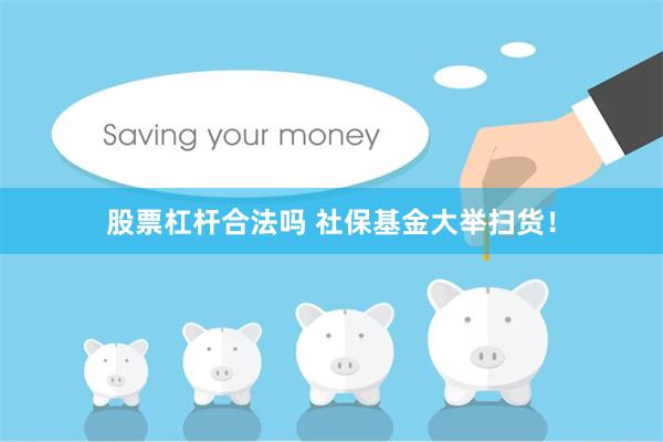 股票杠杆合法吗 社保基金大举扫货！