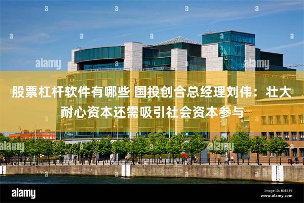 股票杠杆软件有哪些 国投创合总经理刘伟：壮大耐心资本还需吸引社会资本参与