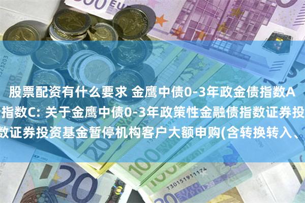 股票配资有什么要求 金鹰中债0-3年政金债指数A,金鹰中债0-3年政金债指数C: 关于金鹰中债0-3年政策性金融债指数证券投资基金暂停机构客户大额申购(含转换转入、定期定额投资)的公告