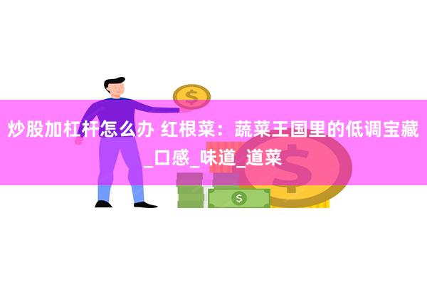 炒股加杠杆怎么办 红根菜：蔬菜王国里的低调宝藏_口感_味道_道菜